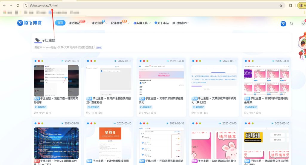 子比主题 – 修改Tag标签固定链接-宇凌云界